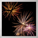 Search for fire flower Photography