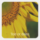 Search for flower petal stickers Floral