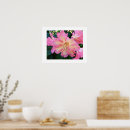 Search for rhododendron posters Pink flowers