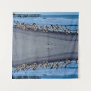 Search for fly patterns art Nature