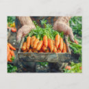 Search for crate postcards Produce