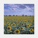 Search for crops magnets Landscape