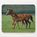 Search for thoroughbred mouse mats Equestrian