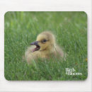 Search for canadian mouse mats Goose