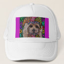 Search for silky hats Australian silky terrier
