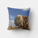 Search for egypt cushions Cairo