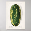 Search for kitchen garden art Seed