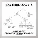 Search for gram posters Bacteria