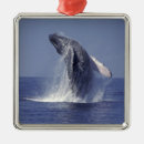 Search for fin christmas tree decorations Humpback