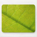 Search for green leaf mouse mats Nature photography