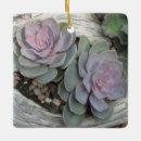 Search for succulent christmas tree decorations Southwest