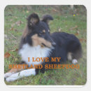 Search for shetland stickers Sheepdog