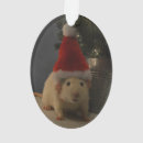 Search for pet rat christmas tree decorations Dumbo