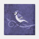 Search for jay magnets Blue