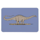 Search for herbivorous magnets Dinosaur