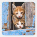 Search for animal vintage stickers Cat