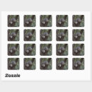 Search for canopy stickers Wildlife
