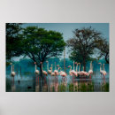 Search for habitat posters Park