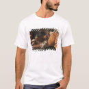 Search for 1620 tshirts Diego