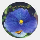 Search for pansies stickers Blue