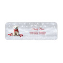 Search for polar bear return address labels Modern
