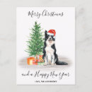 Search for border collie puppy christmas cards Animal