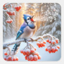 Search for blue berry stickers Winter