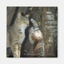 Search for cat profile magnets Animal