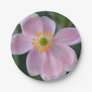 Search for japanese plates Pink