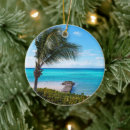 Search for blue sky christmas tree decorations Photograph