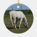 Search for white horse christmas tree decorations Animals