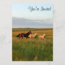 Search for maree invitations Horses