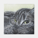 Search for abusers magnets Cat