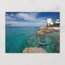 Search for roo postcards Tourism