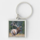 Search for cervus key rings Bull