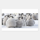 Search for emperor penguin stickers Funny