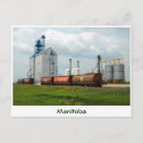 Search for grains postcards Agriculture