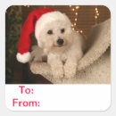 Search for dog tag stickers To and from
