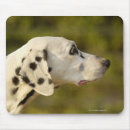 Search for profile mouse mats Outdoors