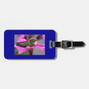 Search for watcher accessories Animals