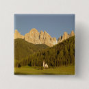 Search for giovanni badges Italian