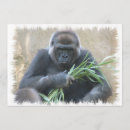 Search for gorilla invitations Primate