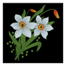 Search for black tulip posters Floral