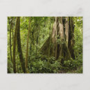 Search for ecology postcards Cloud