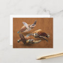 Search for extinction postcards Reptile