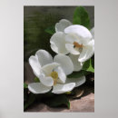 Search for 24x36 posters Floral