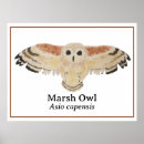 Search for watercolor owl art Animal