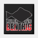 Search for flatfish Halibut