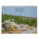 Search for seal calendars Animals