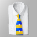 Search for peace ties Flag
